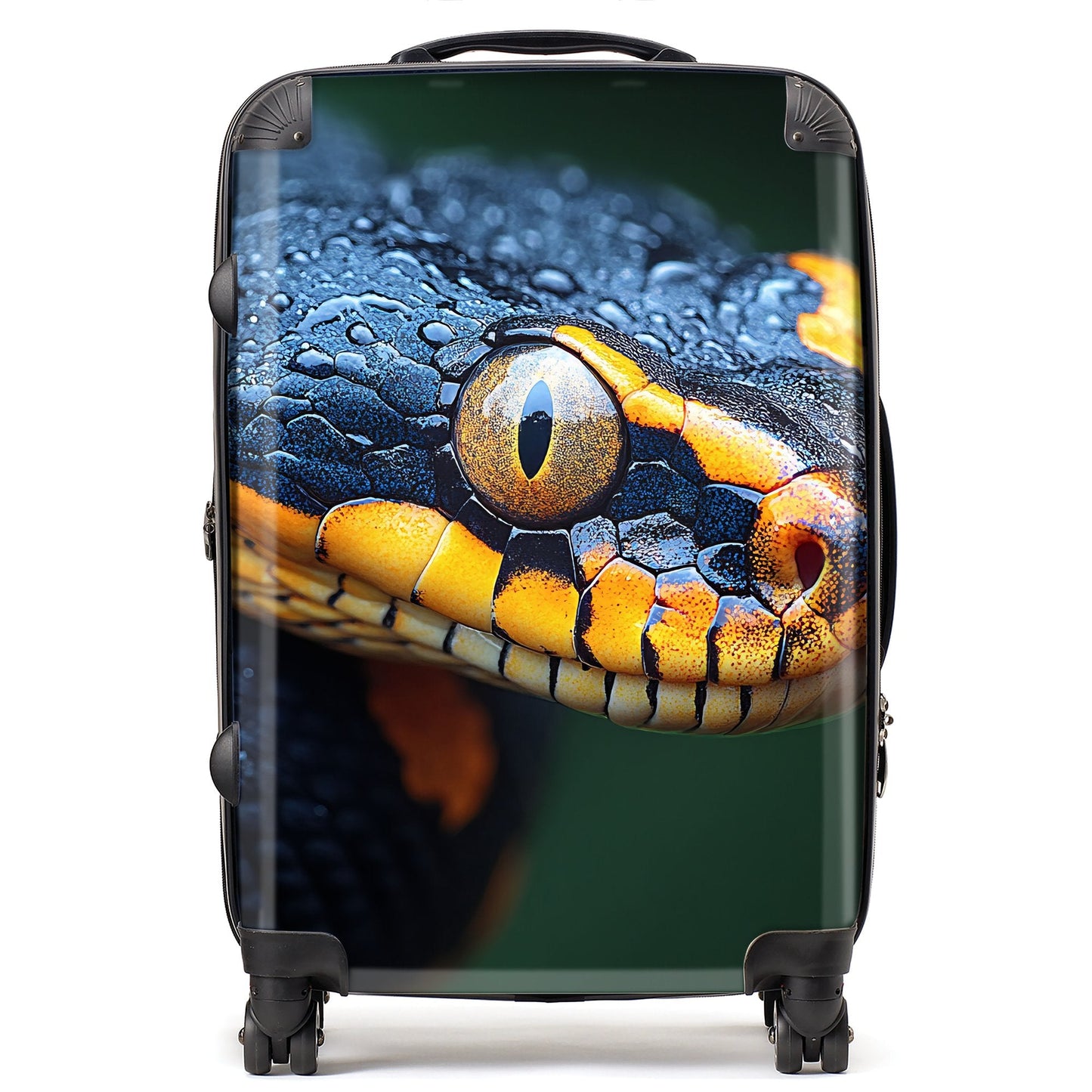 Finn Wilder: 00025 Suitcase