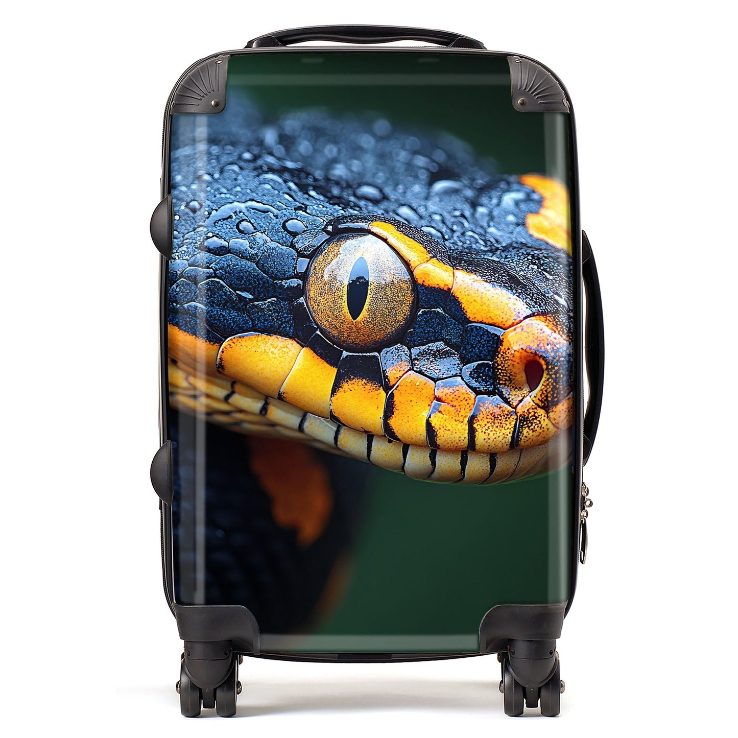 Finn Wilder: 00025 Suitcase