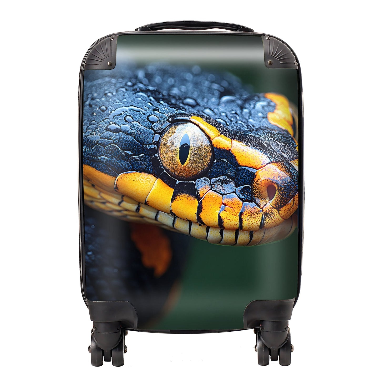 Finn Wilder: 00025 Suitcase