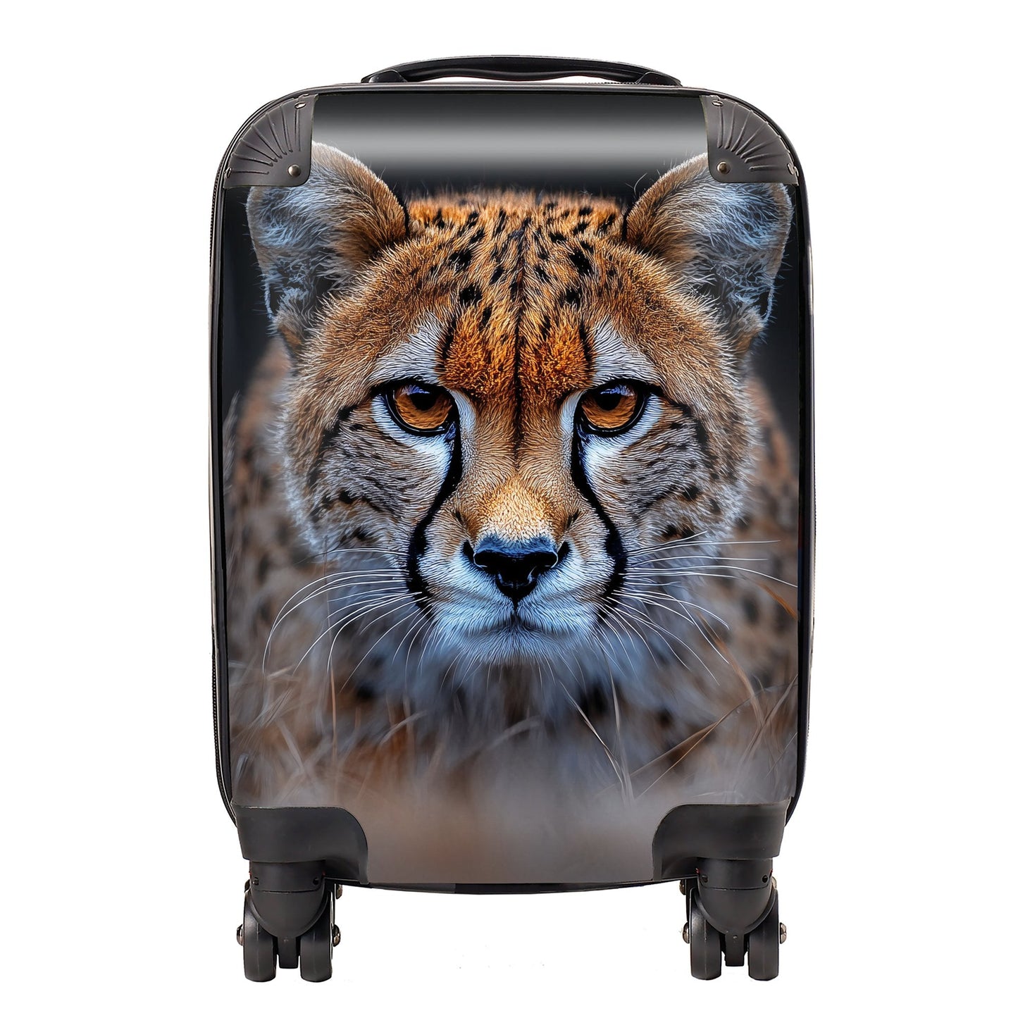 Finn Wilder: 00033 Suitcase