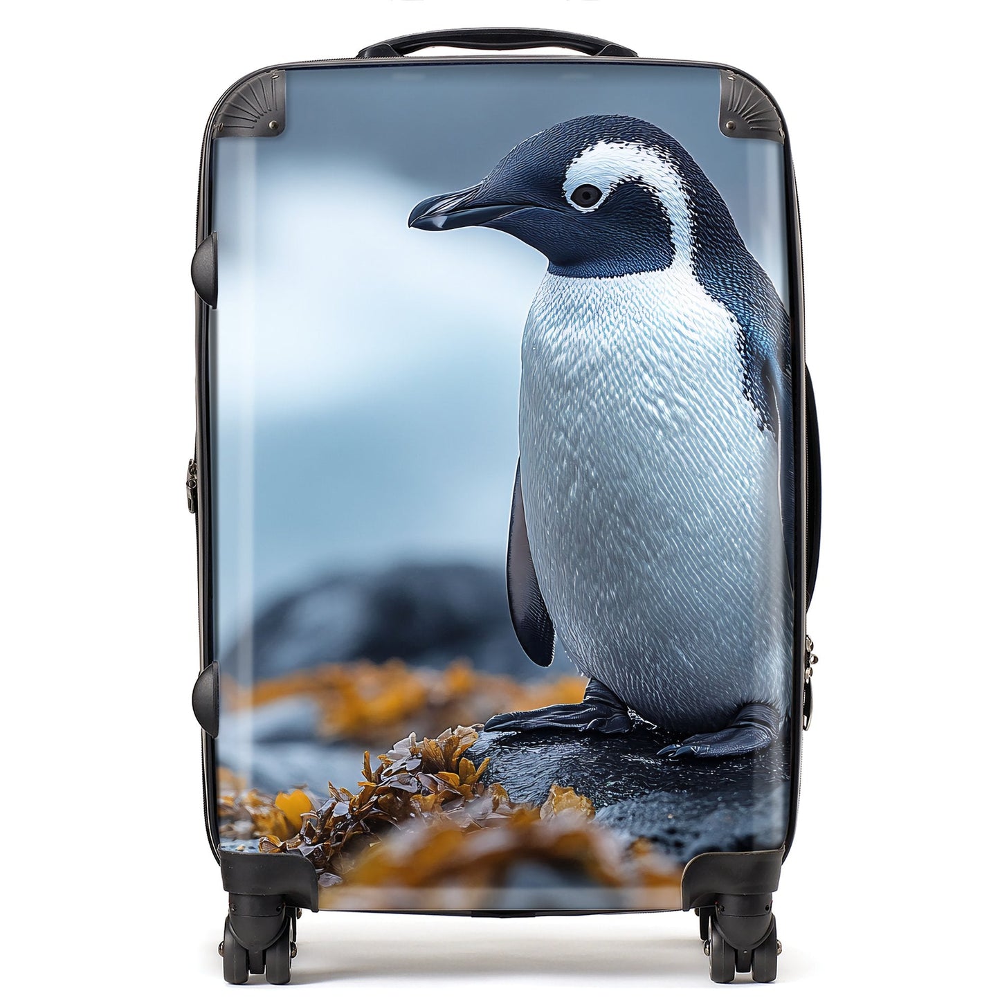 Finn Wilder: 00035 Suitcase