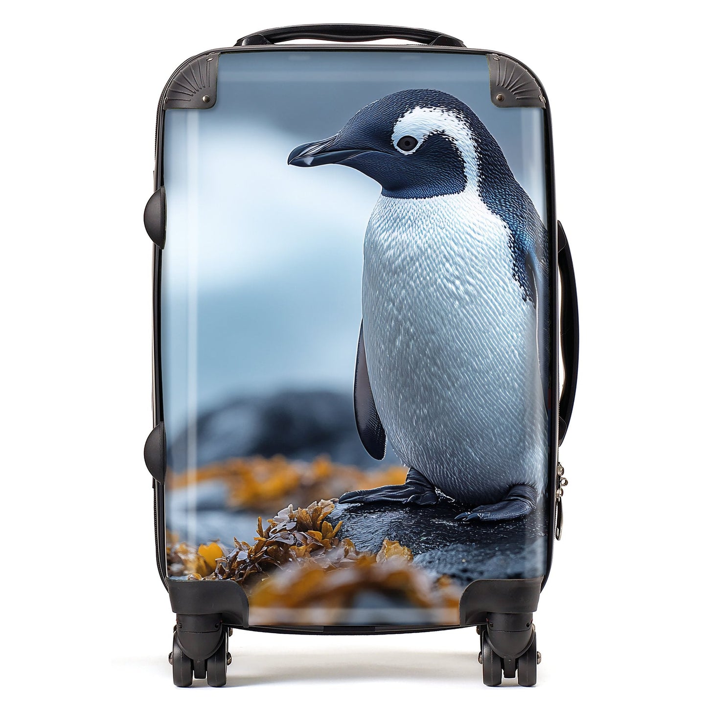 Finn Wilder: 00035 Suitcase