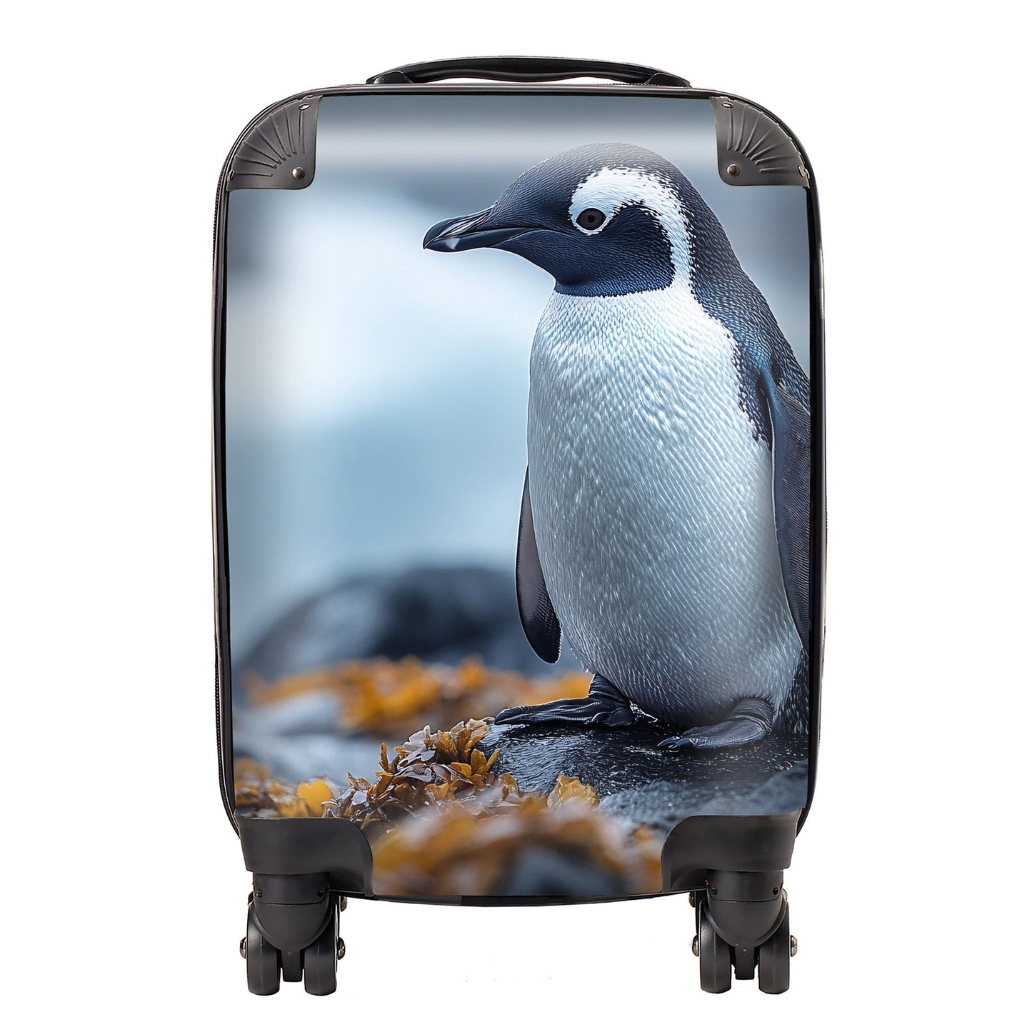 Finn Wilder: 00035 Suitcase