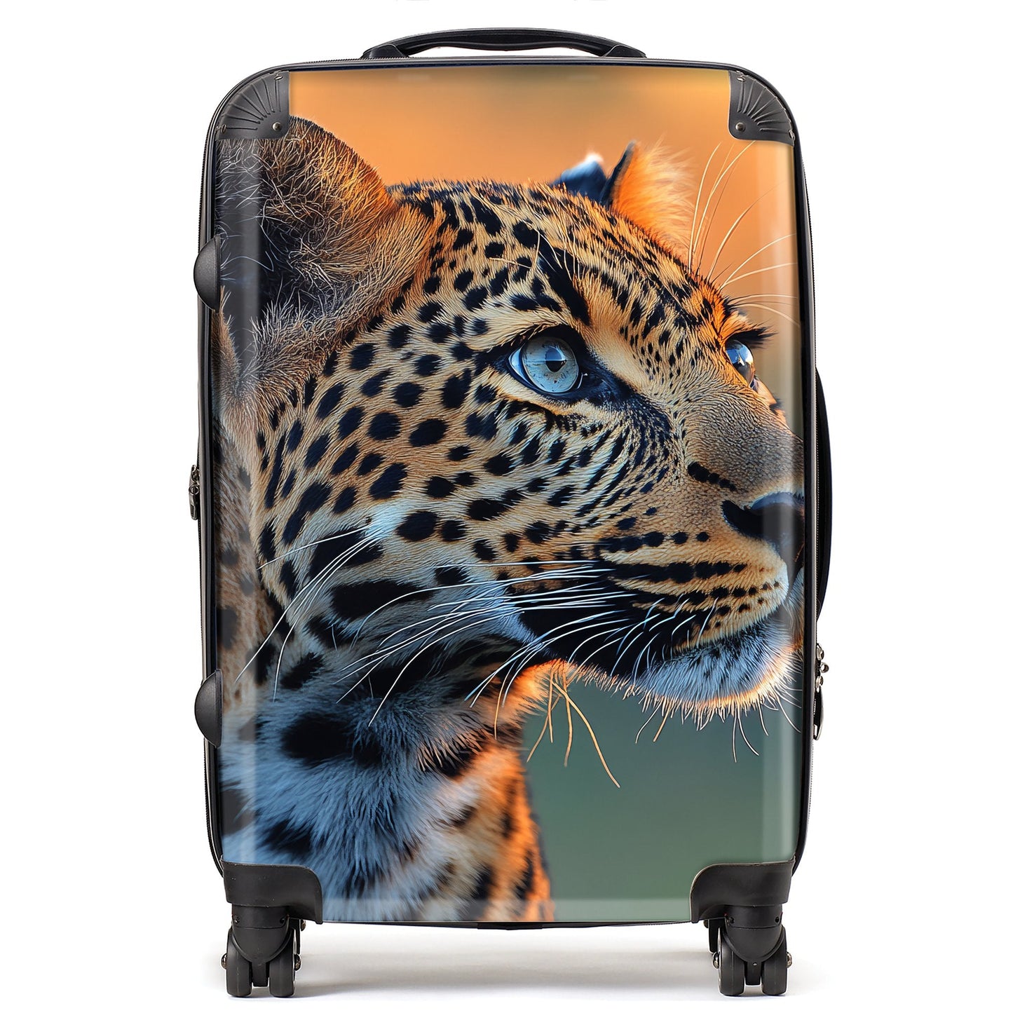 Finn Wilder: 00042 Suitcase