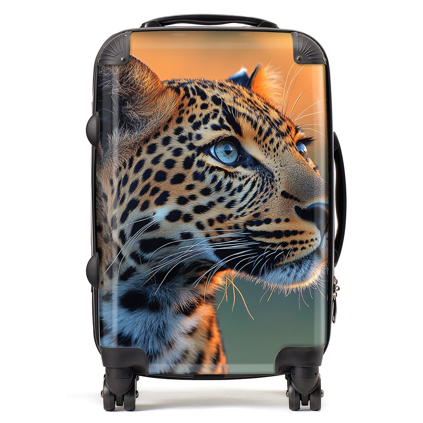 Finn Wilder: 00042 Suitcase