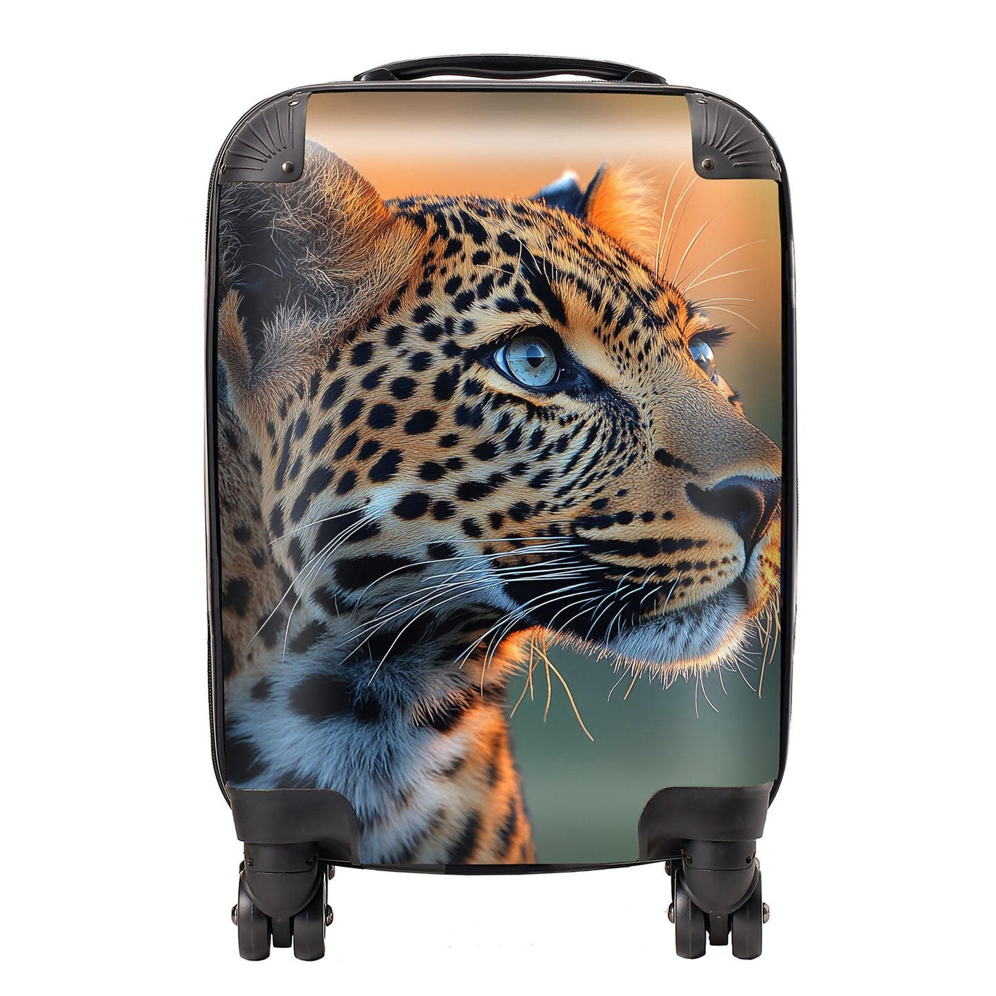 Finn Wilder: 00042 Suitcase