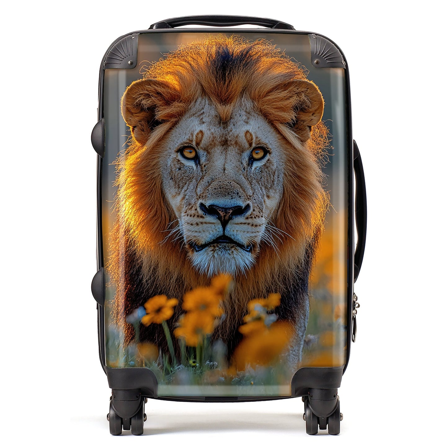 Finn Wilder: 00044 Suitcase