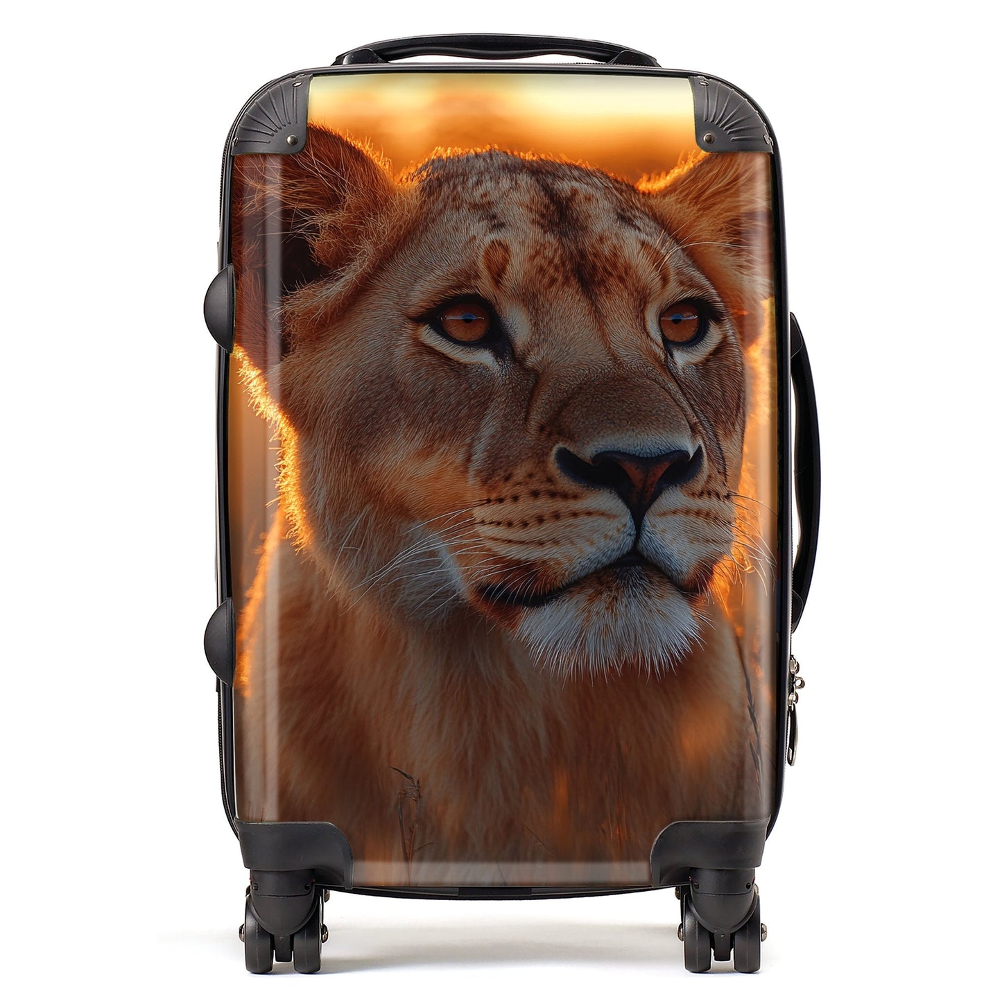 Finn Wilder: 00045 Suitcase