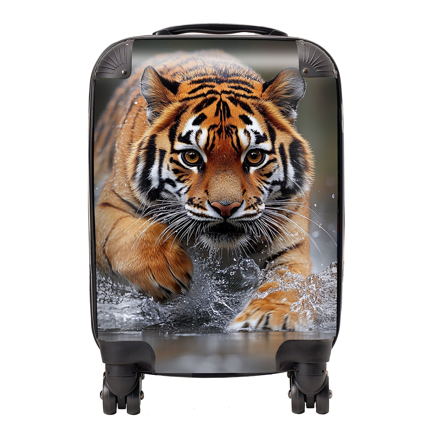 Finn Wilder: 00047 Suitcase
