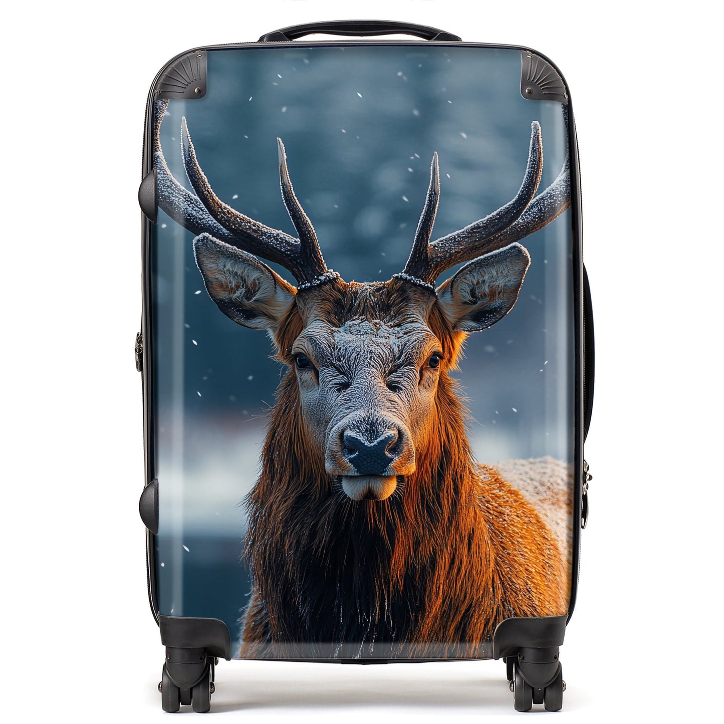 Finn Wilder: 00013 Suitcase