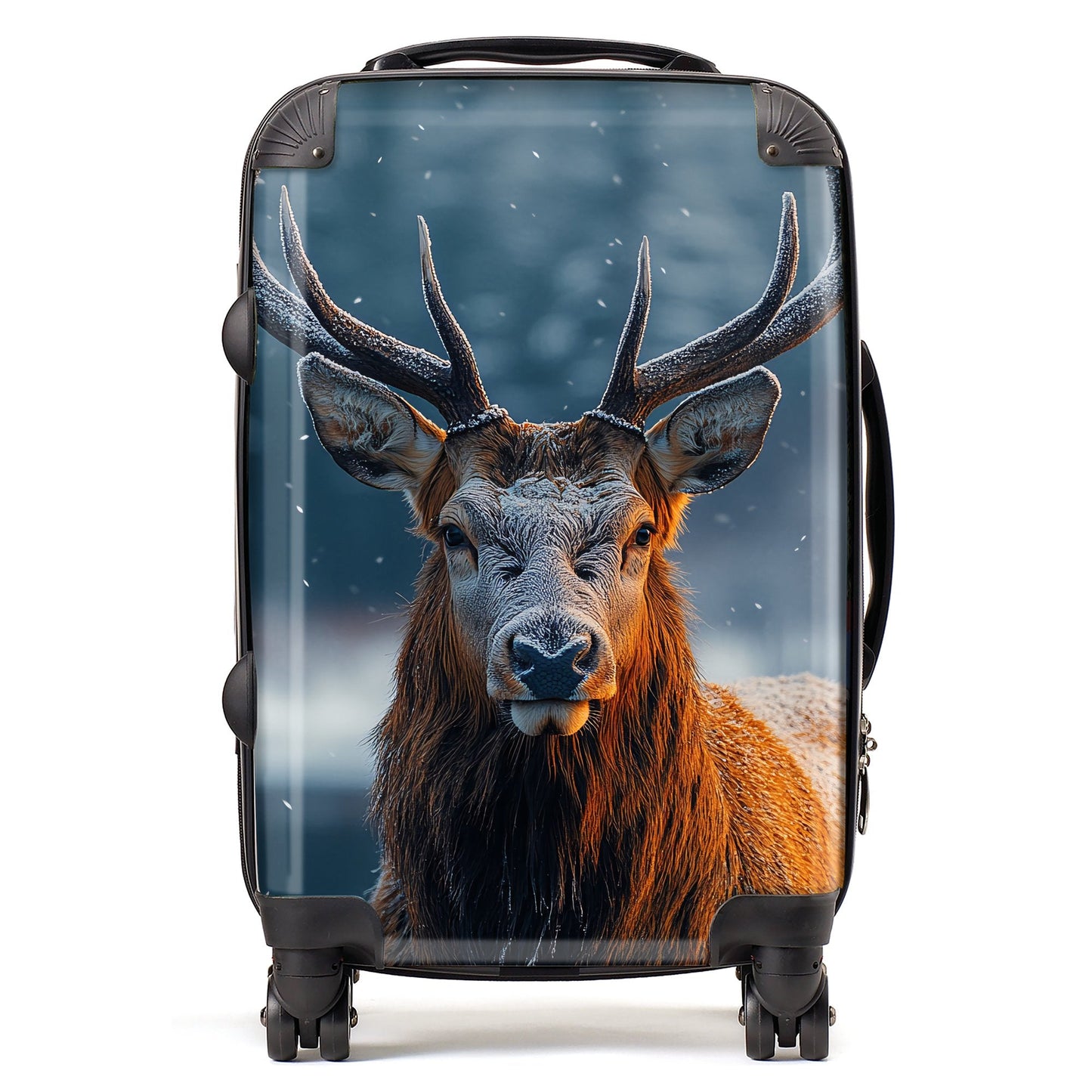 Finn Wilder: 00013 Suitcase