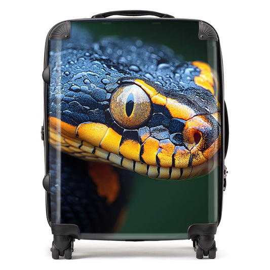 Finn Wilder: 00025 Suitcase