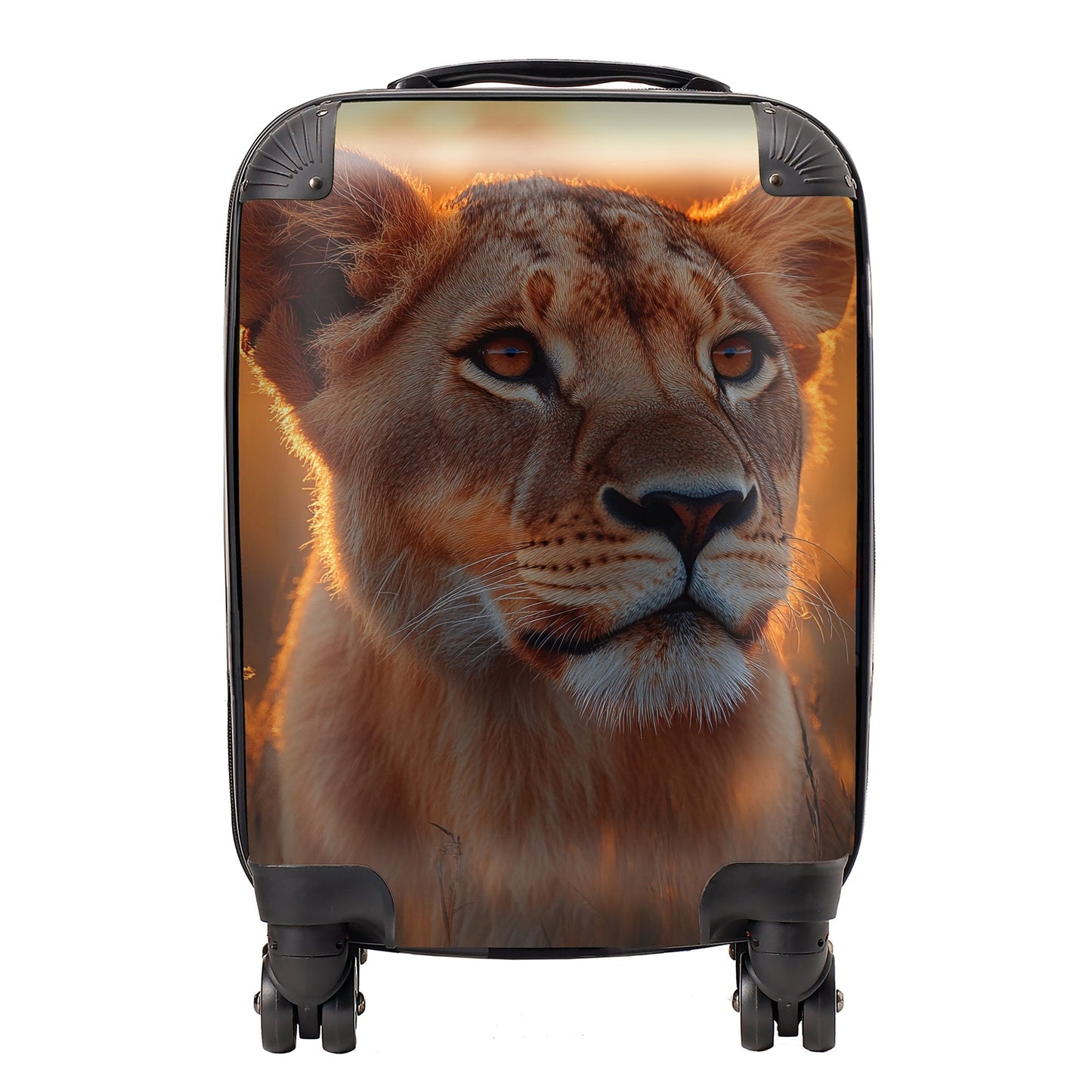 Finn Wilder: 00045 Suitcase
